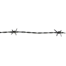 China Expert Supplier of Barbed Wire Fencing (ZDBW)